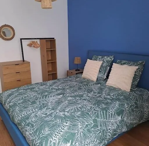 Le Vaillant Cosy 公寓 *