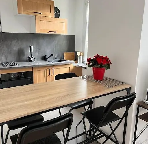 Le Vaillant Cosy 公寓 第戎